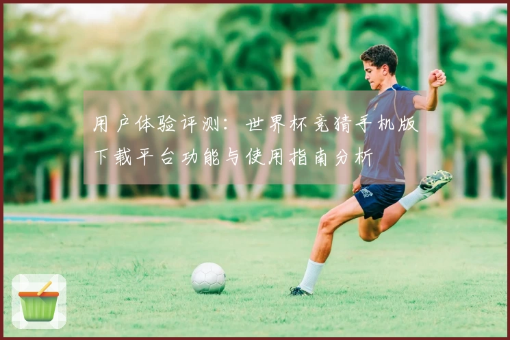 用户体验评测：世界杯竞猜手机版下载平台功能与使用指南分析