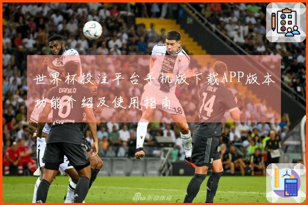世界杯投注平台手机版下载APP版本功能介绍及使用指南