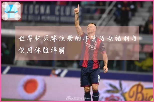 世界杯买球注册的丰富活动福利与使用体验详解